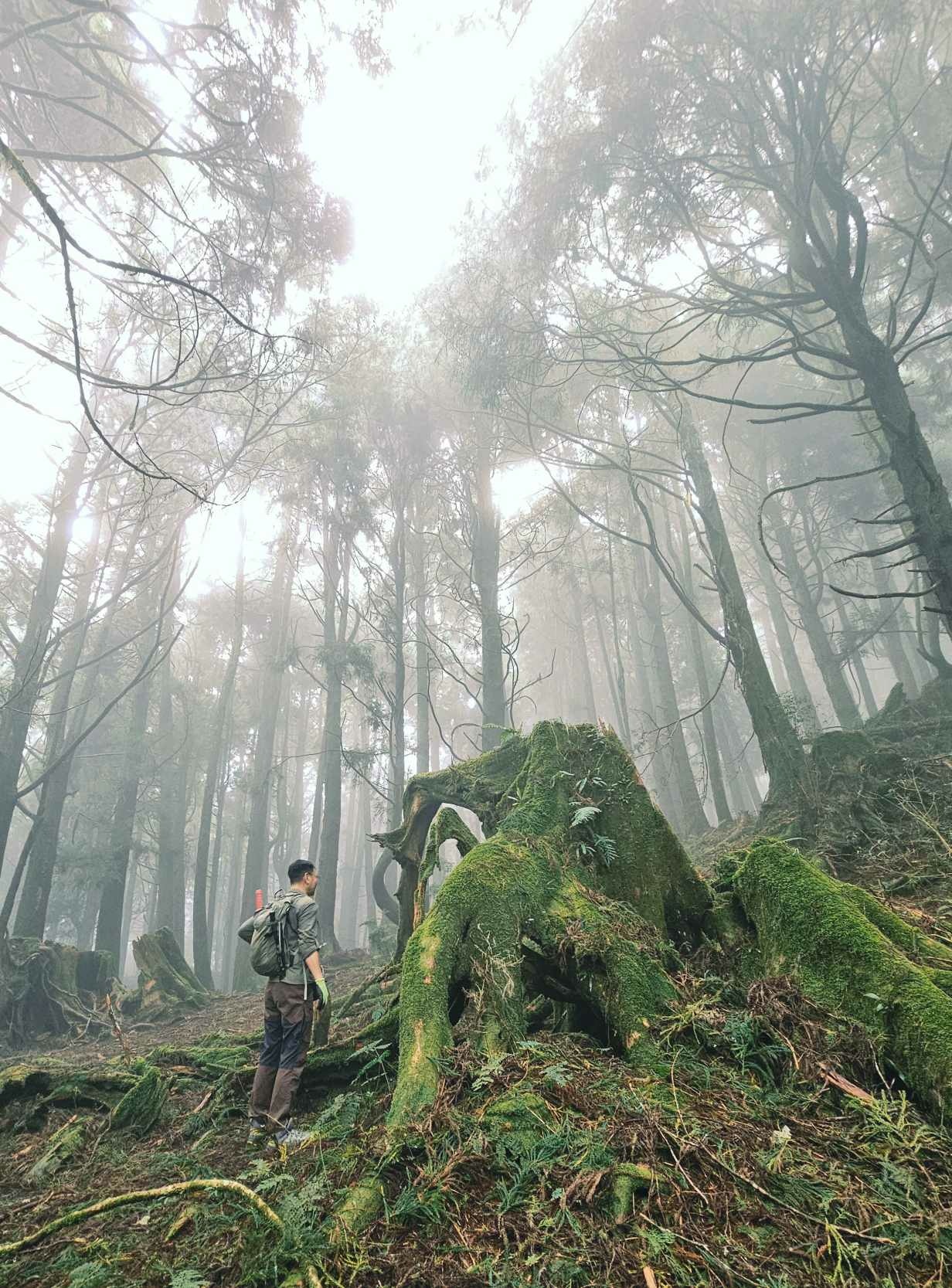 兒玉山爬山趣-山行者登山健行學苑/高雄區