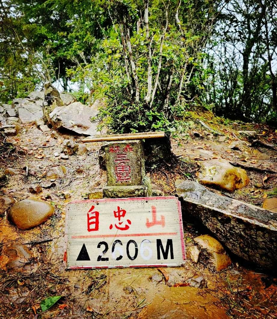兒玉山爬山趣-山行者登山健行學苑/高雄區