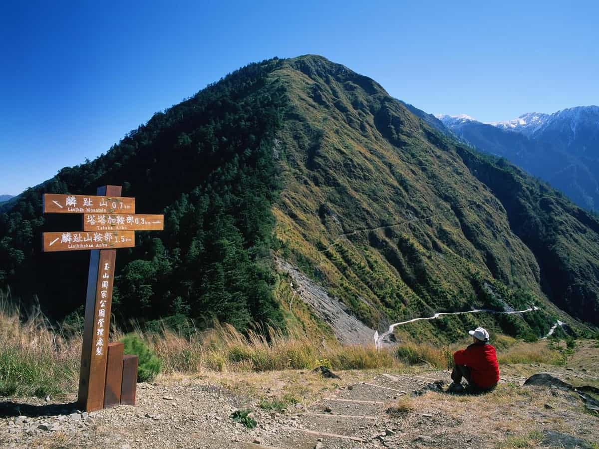 塔塔加登山消暑趣-山行者登山健行學苑/高雄區