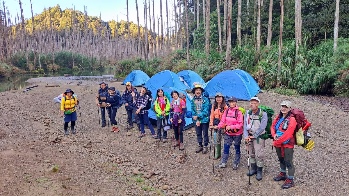 水漾森林周邊柳杉林登山景觀