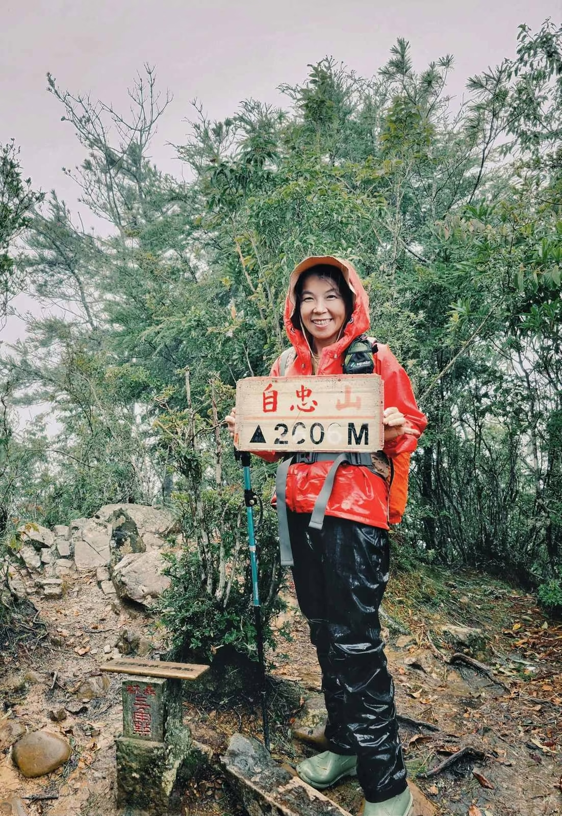 兒玉山特富野古道巨木森林步道