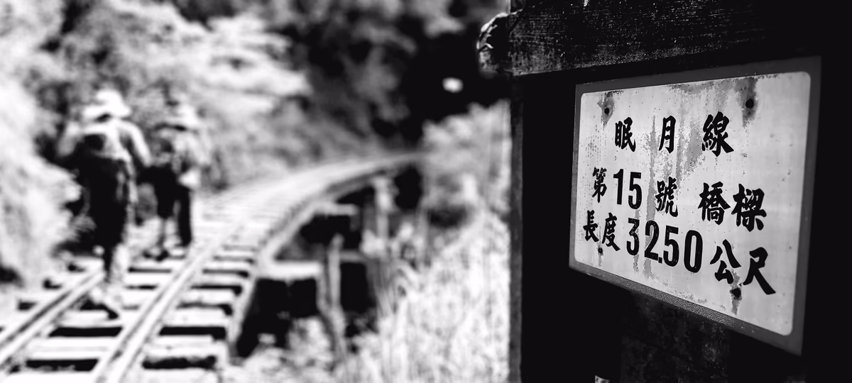 眠月線舊鐵道橋梁與檜木林景觀