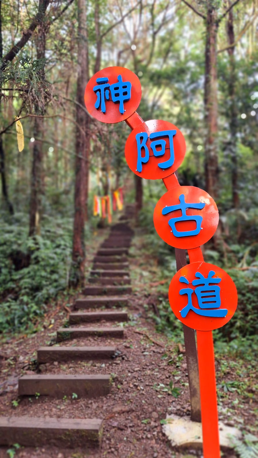 神阿古道神木村起點與山林路線