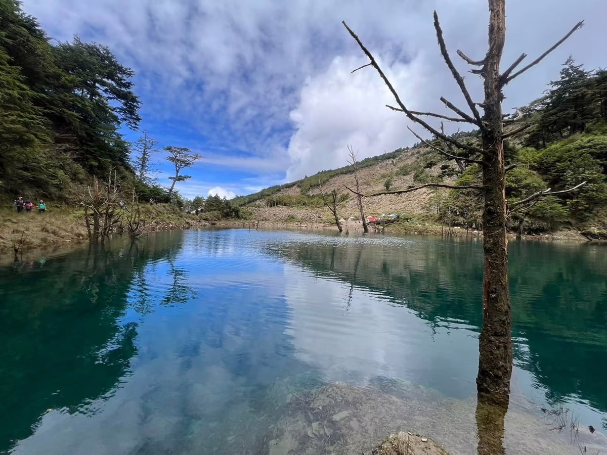 南部百岳林道綠意山徑與高山景觀