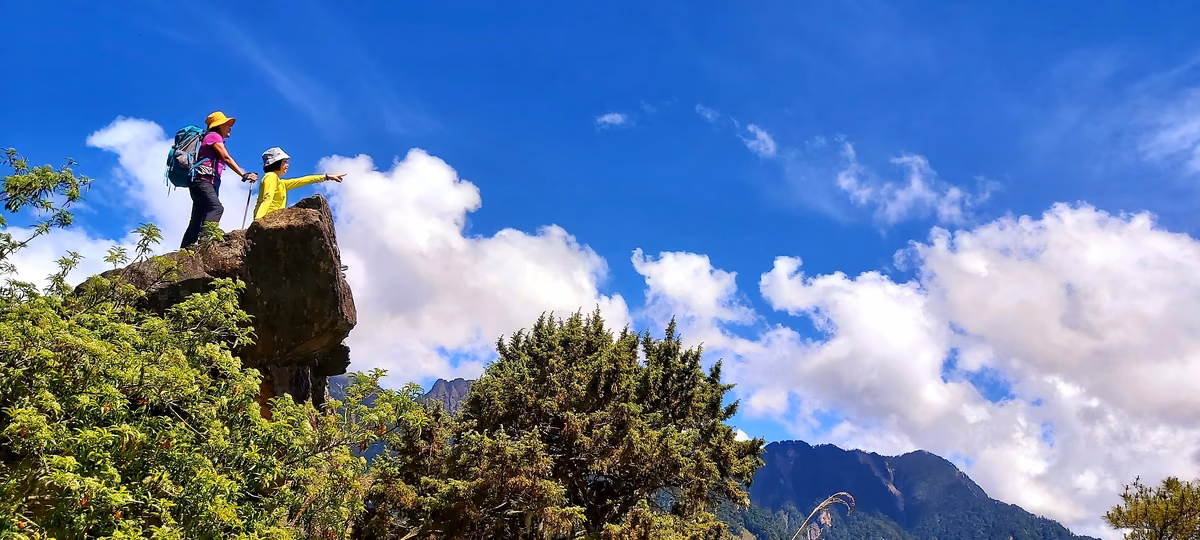 塔塔加通往排雲山莊的登山步道