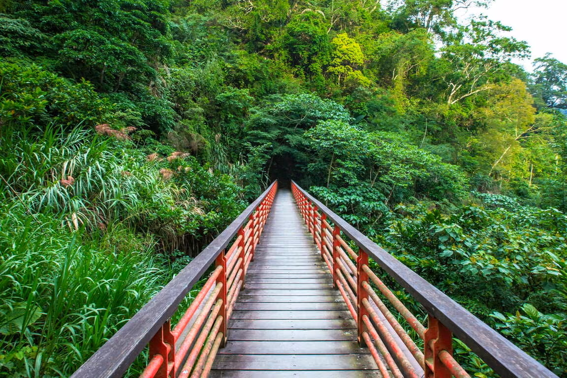 十二號吊橋筆直穿越山林步道